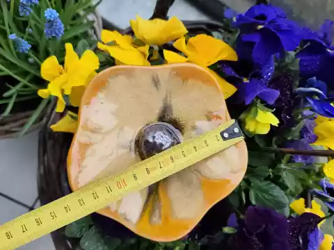 kwiat ceramiczny poidło