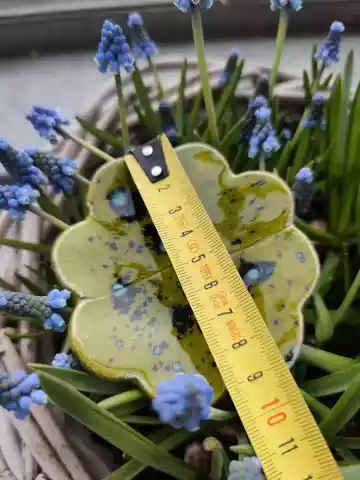 koniczyna ceramiczna poidło