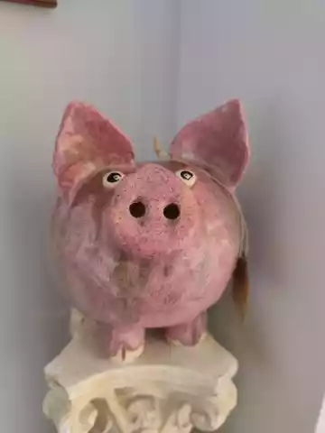 świnka ceramiczna skarbonka
