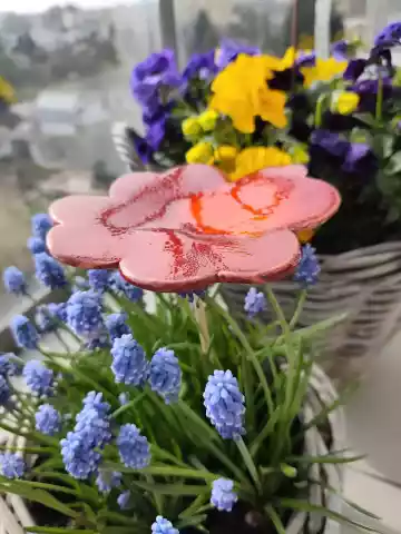 koniczyna ceramiczna poidło