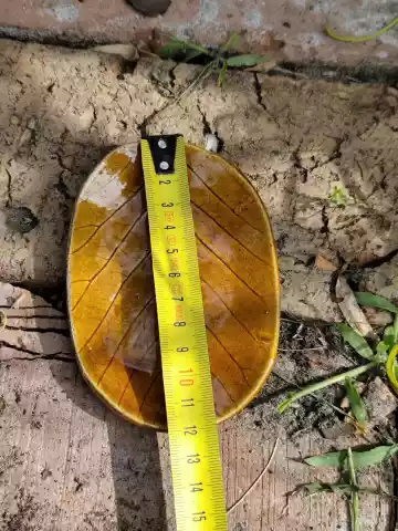 mydelniczka ceramiczna liść