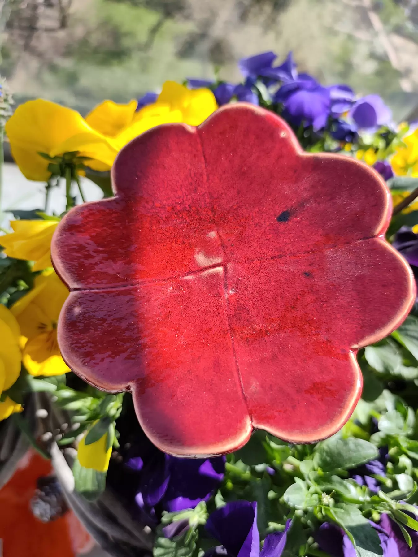 koniczyna ceramiczna