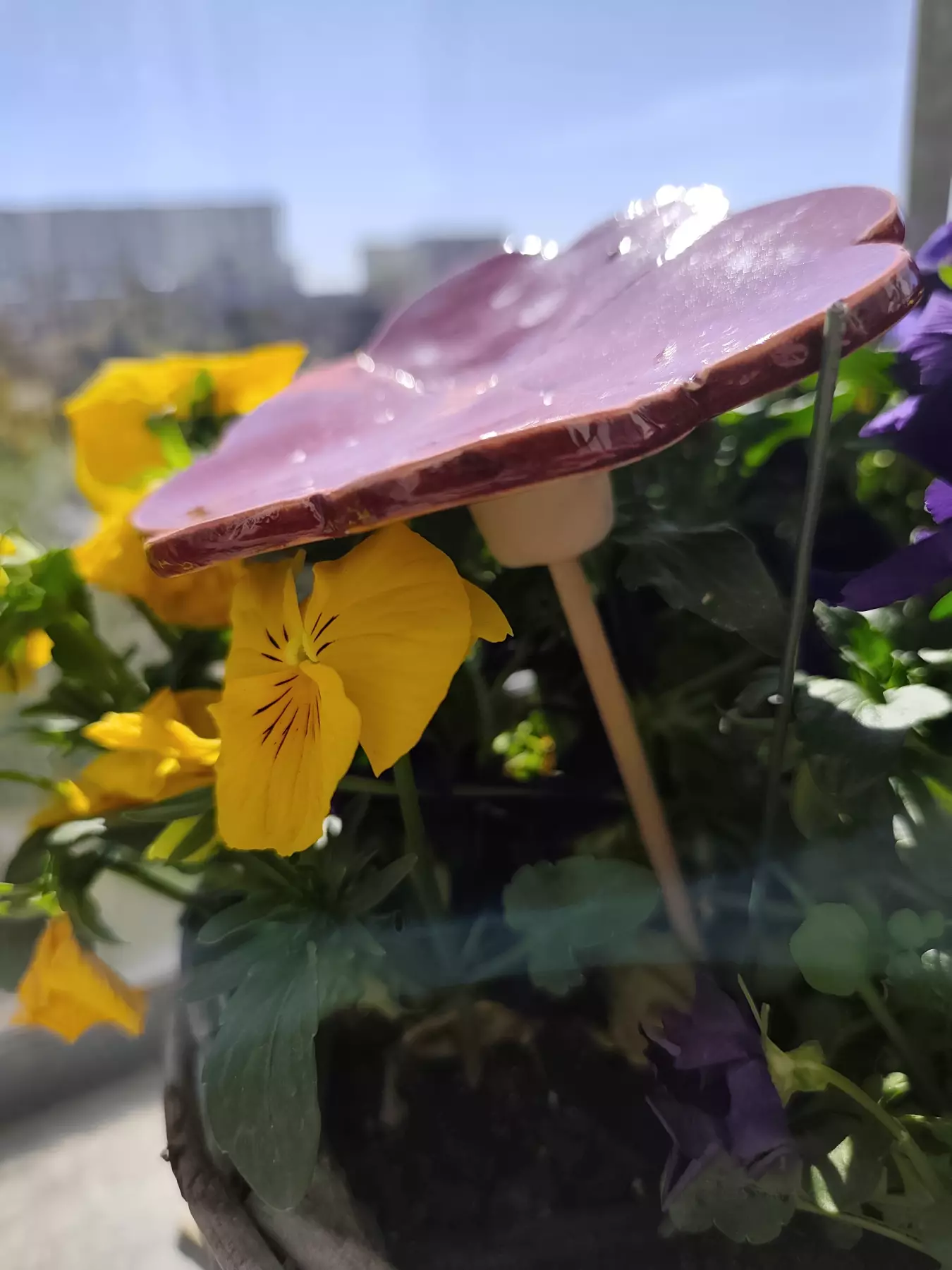 kwiat ceramiczny koniczyna